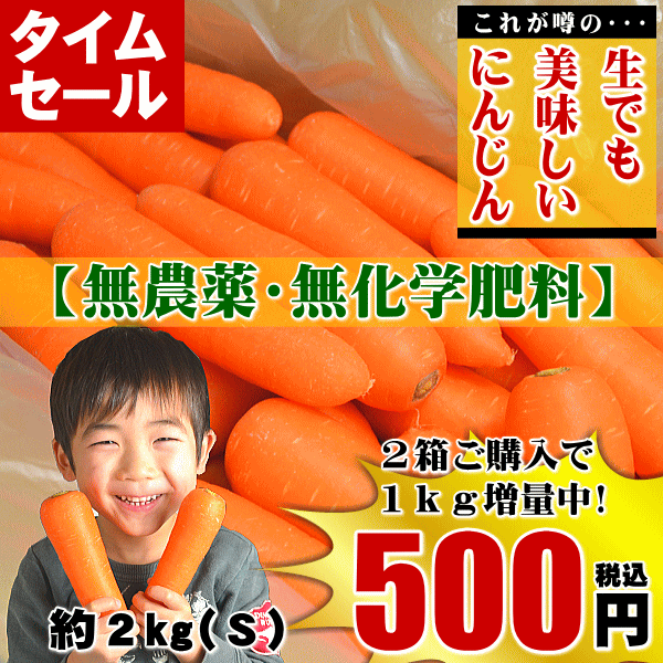 にんじん,ニンジン,人参,無農薬,無化学肥料,有機,安全,安心,ジュース,野菜ジュース,送料無料,訳あり,産直,産地直送