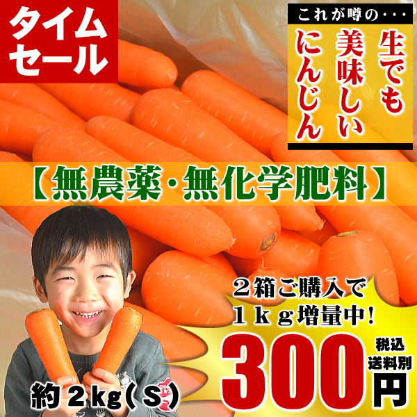 にんじん,ニンジン,人参,無農薬,無化学肥料,有機,安全,安心,ジュース,野菜ジュース,送料無料,訳あり,産直,産地直送