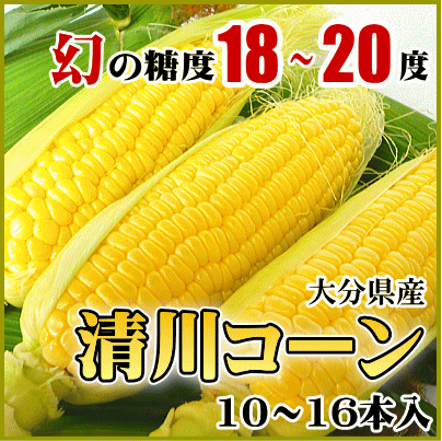 【送料無料】【同梱不可】生でも食べれる「清川コーン」10～16本入（３ｋｇ以上）【同梱不可】