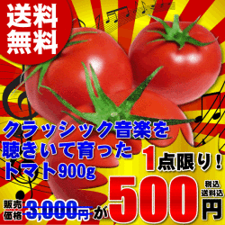 送料無料,トマト,とまと,桃太郎,塩トマト,有機,安全,安心,ジュース,野菜ジュース,セール,％OFF,新鮮,産直,産地直送