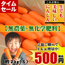 にんじん,ニンジン,人参,無農薬,無化学肥料,有機,安全,安心,ジュース,野菜ジュース,送料無料,訳あり,産直,産地直送