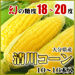 【送料無料】【同梱不可】生でも食べれる「清川コーン」10～16本入（３ｋｇ以上）【同梱不可】