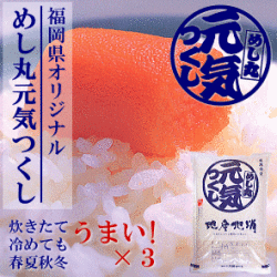 福岡県産「めし丸元気つくし」10ｋｇ