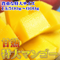 【訳あり】特大サイズ！甘熟アップルマンゴー１玉