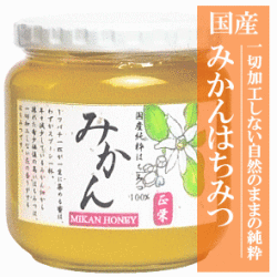 国産みかんはちみつ６００ｇ
