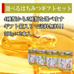 【送料無料】4種類から選べる国産はちみつギフトセット300g×2本セット