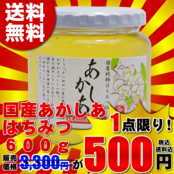 「国産あかしあはちみつ600g」一切加工しないアカシアの花から採れた蜂蜜（ハチミツ）　いいもの【あるファーム】九州