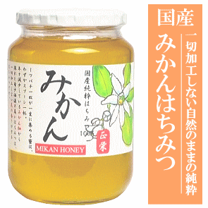 国産みかんはちみつ１０００ｇ