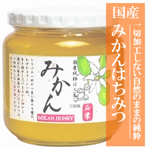 国産みかんはちみつ６００ｇ