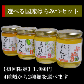 4種類から選べる「国産はちみつお試しセット300×2本」