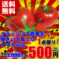 送料無料,トマト,とまと,桃太郎,塩トマト,有機,安全,安心,ジュース,野菜ジュース,セール,％OFF,新鮮,産直,産地直送