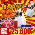 ジューサー,家電,ミキサー,野菜ジュース,送料無料