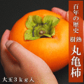 【送料無料】丸亀農園丸亀柿(約３ｋｇ)11～12玉入【同梱不可】