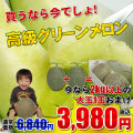 グリーンメロン