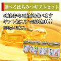 【送料無料】4種類から選べる国産はちみつギフトセット300g×2本セット