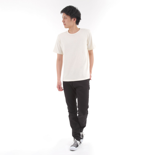 ヘンプtシャツ メンズ