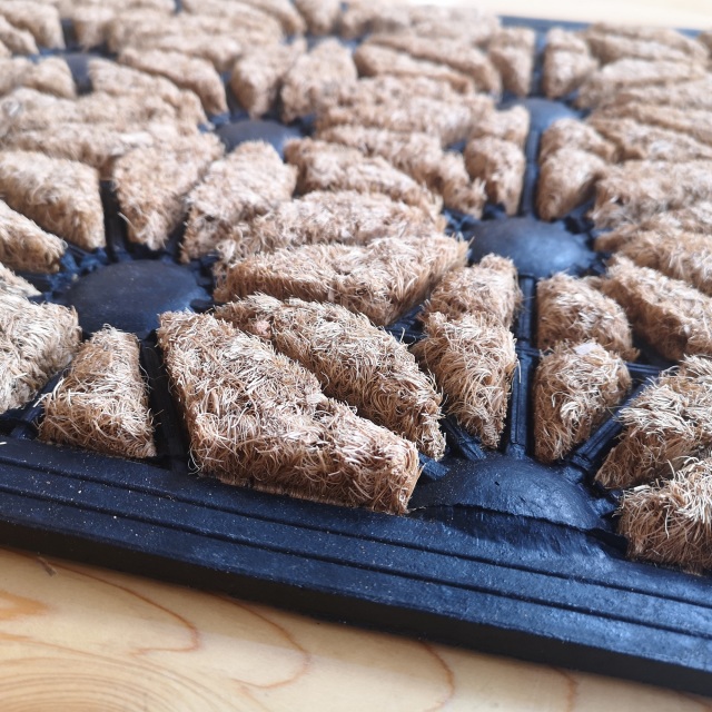 思わずワクワクする麻の葉模様の食器セットです。