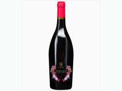 10月30日解禁！イタリア【ヴェレノージ　ノヴェッロ　　2021 750ml】