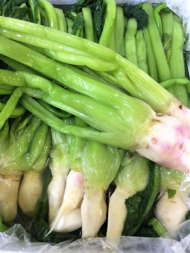 野沢菜茶漬け二個・杵付き餅他 野沢菜茶漬け二個・杵付き餅他