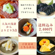 【初めての方向け】【プチギフト好適品】送料込み　人気の浅漬よりどり3点