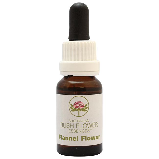 オーストラリアンブッシュ/シングルエッセンス[フランネルフラワー]