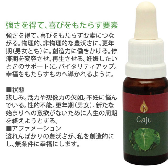 【専用】カジュ[Caju]『豊沃』アラレタマレインフォレストフラワーエッセンス他 カジュ アラレタマ・レインフォレストエッセンス