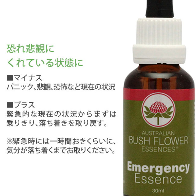 エマージェンシー(緊急)]オーストラリアンブッシュ 