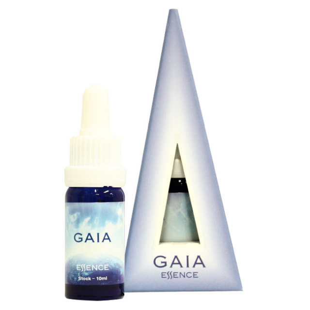 専用】フリンジドヴァイオレット オーストラリアンブッシュ | tspea.org