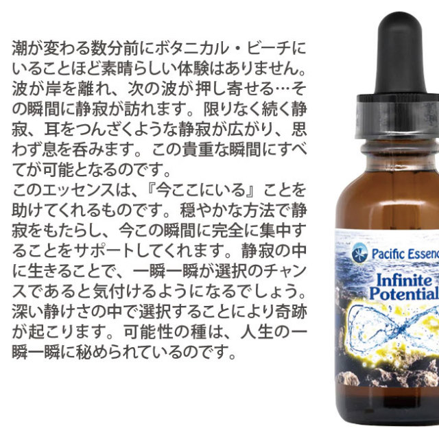 予約品】インフィニットポテンシャル 〜無限の可能性 予約品】インフィニットポテンシャル 〜無限の可能性
