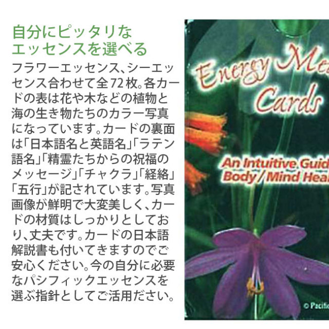 パシフィックエッセンス/その他[エナジーメディスンカード（72枚）]