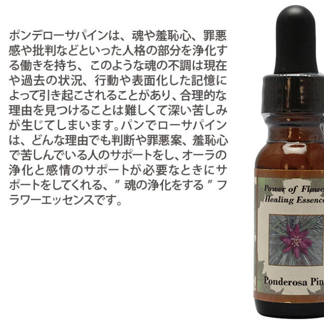 予約】ポンデローサパイン パワーオブフラワーヒーリング