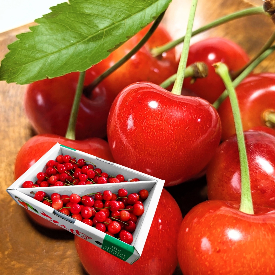 予約[P-1] 山形県産 紅秀峰バラ詰め 1kg  L以上