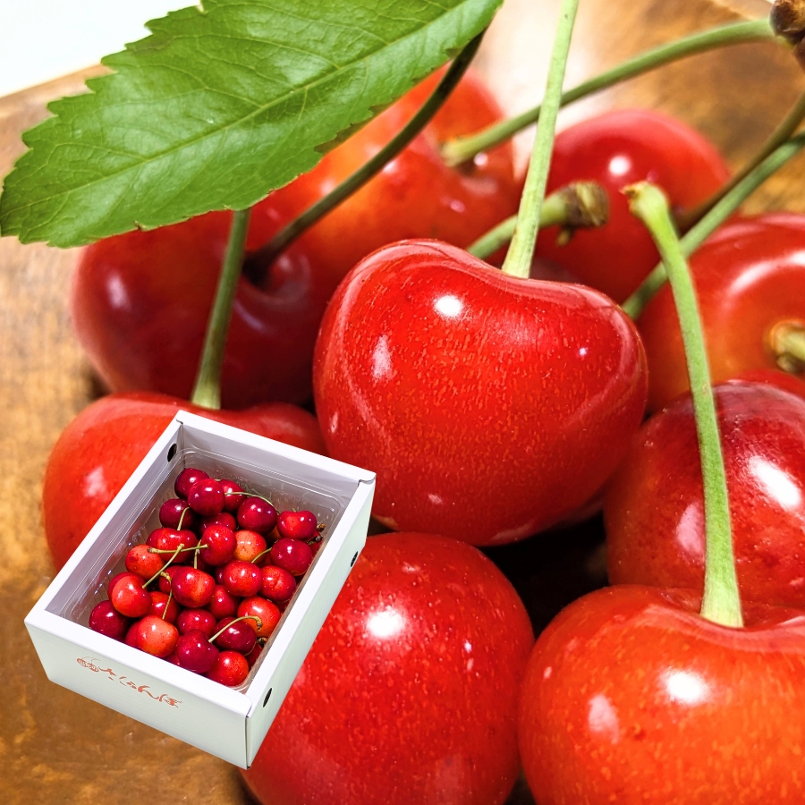 予約[P-2] 山形県産 紅秀峰バラ詰め 500g L以上