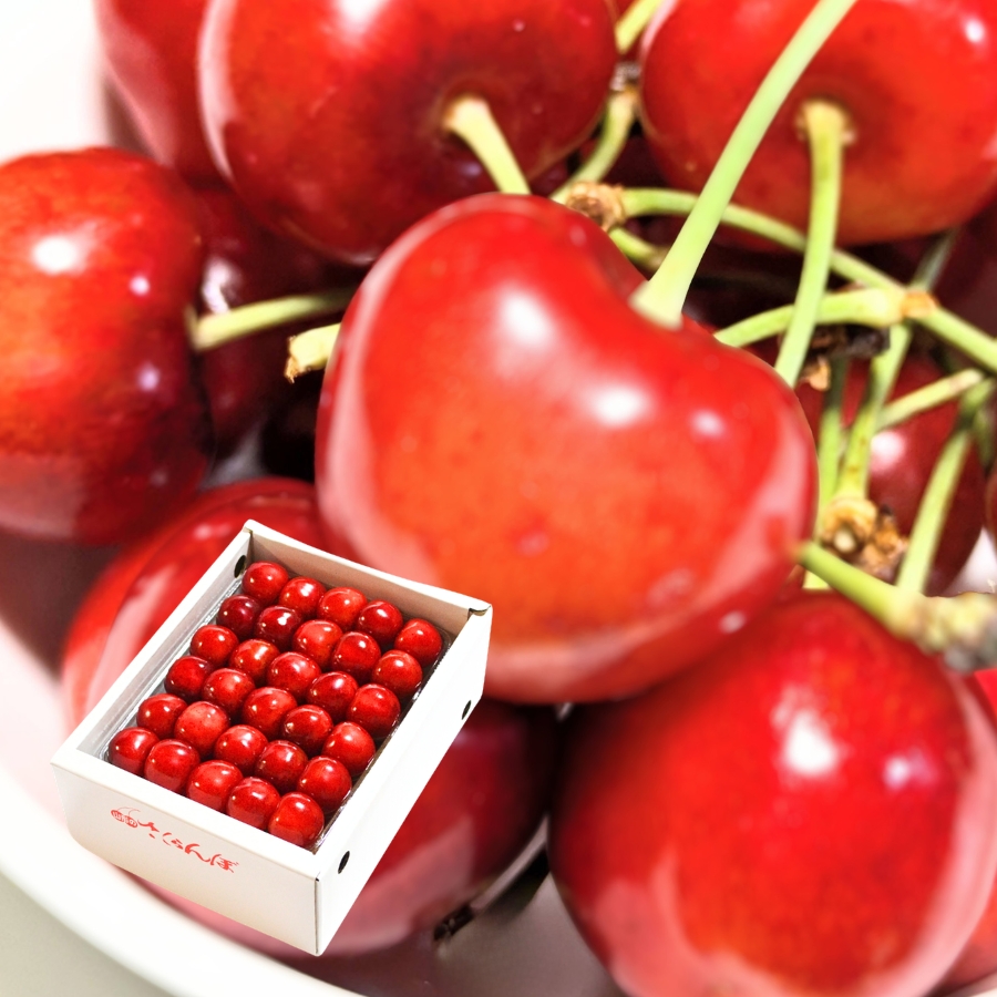 予約[P-5] 山形県産 紅秀峰 並び詰め 500g