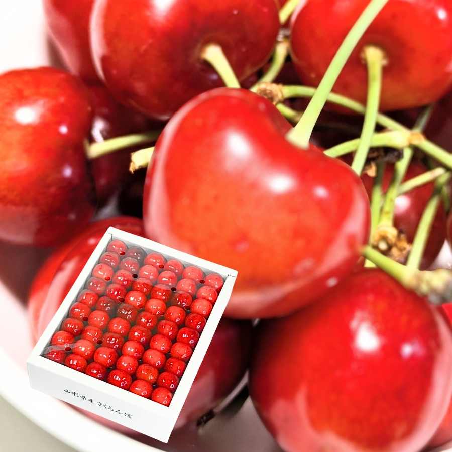 予約[P-7] 山形県産 紅秀峰 鏡詰め 500g L-2L