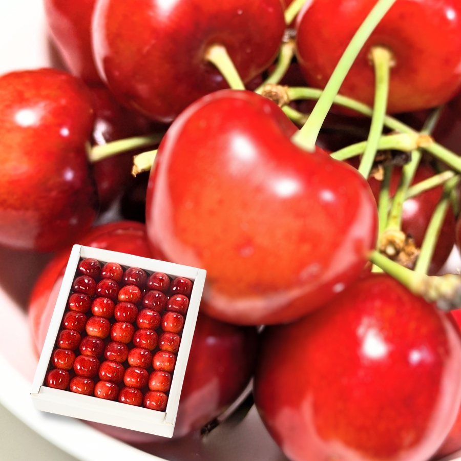 予約[P-9] 山形県産 紅秀峰 鏡詰め 500g 3L