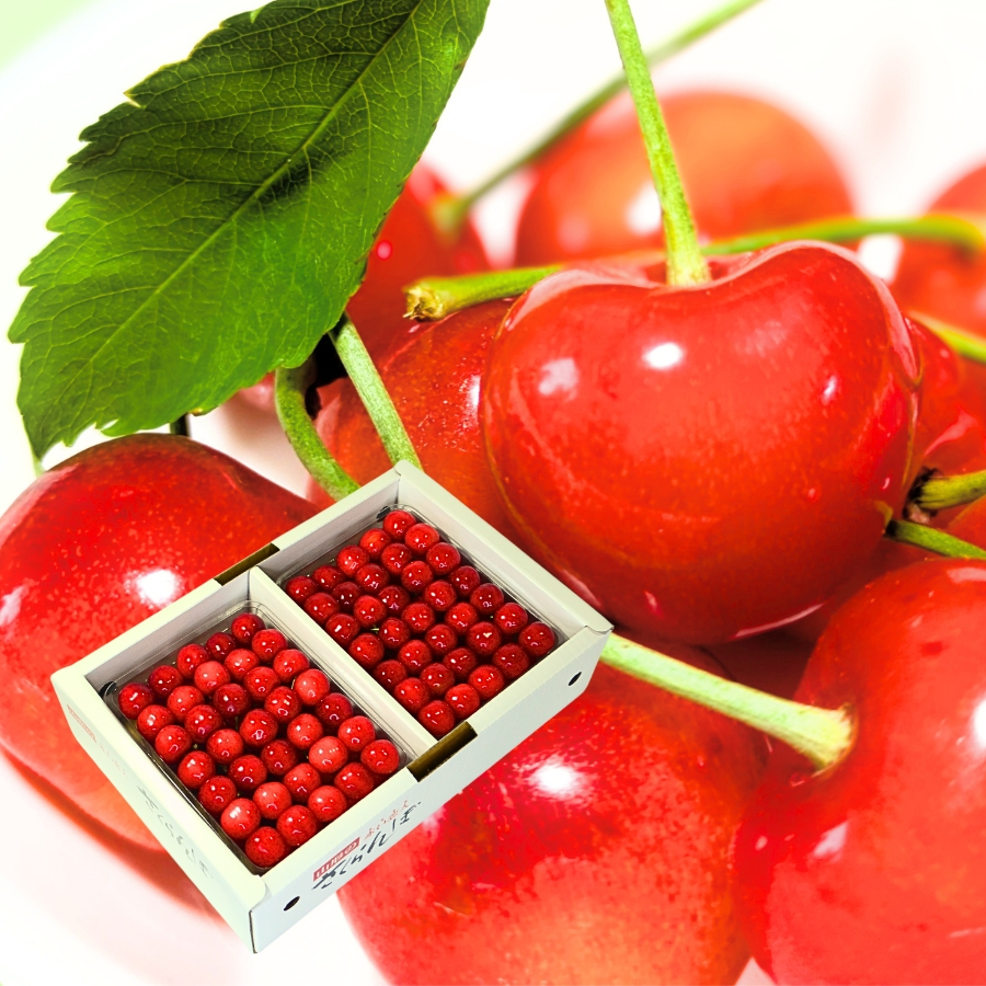 予約[Z-7] 山形県産 佐藤錦 並び詰め 1kg L-2L