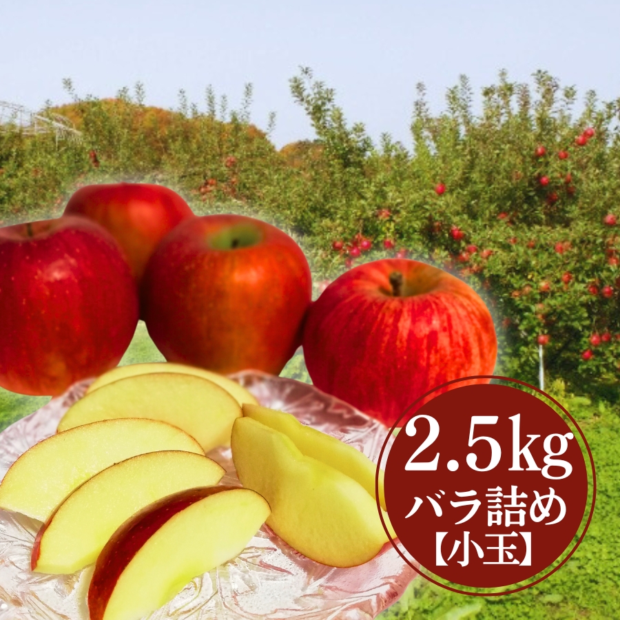豊田のふじりんご小玉 2.5kg