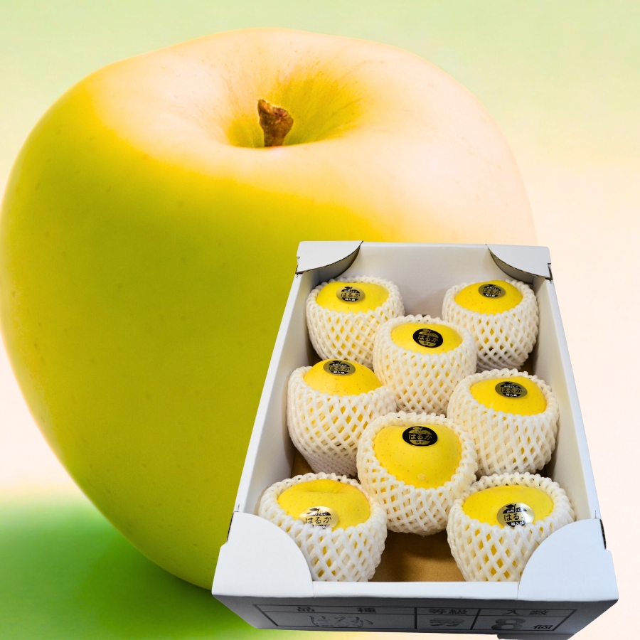 山形産 りんご はるか3kg