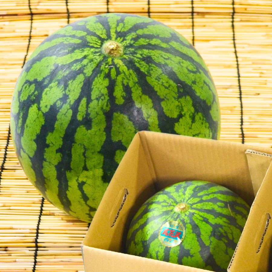 尾花沢すいか 1玉（L〜M玉）