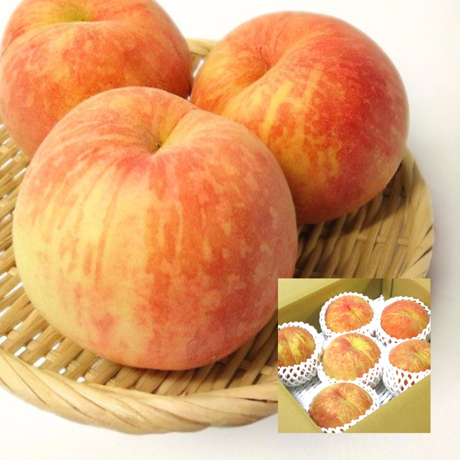 西王母2.5kg