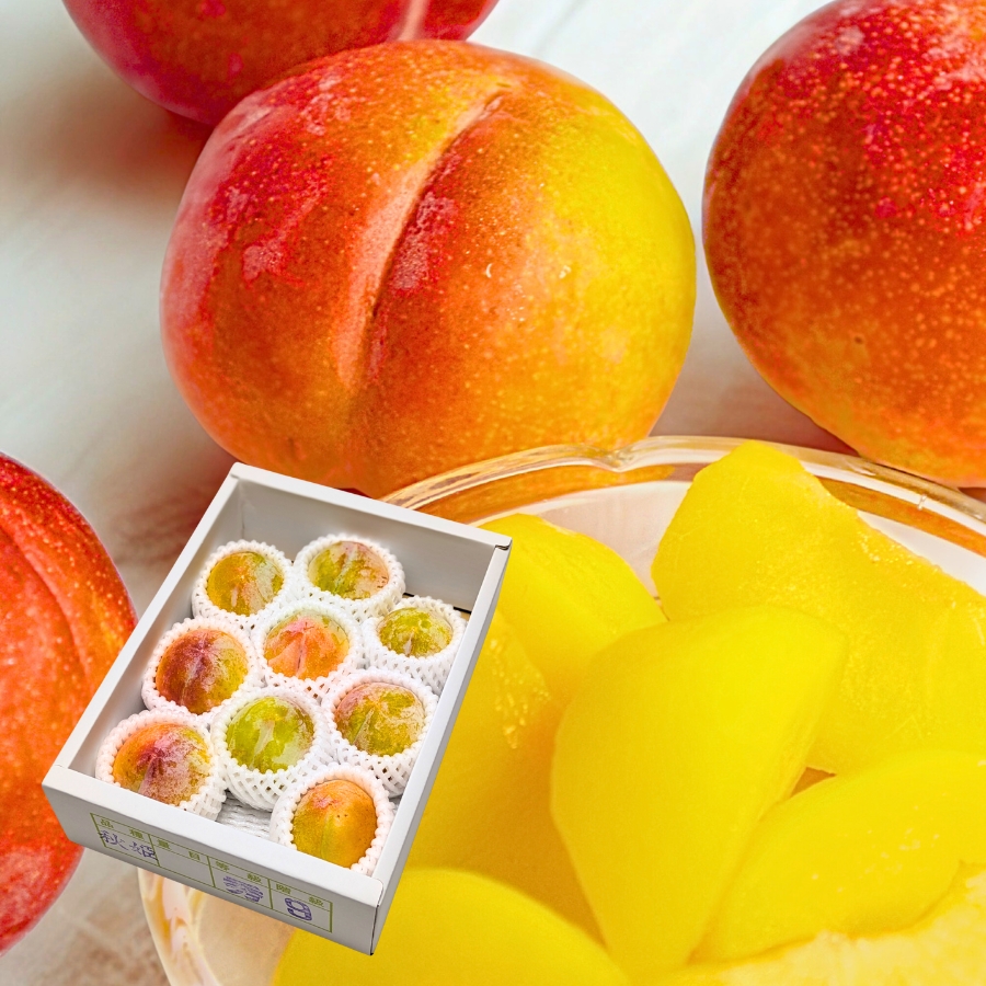 すもも秋姫 約1.2kg