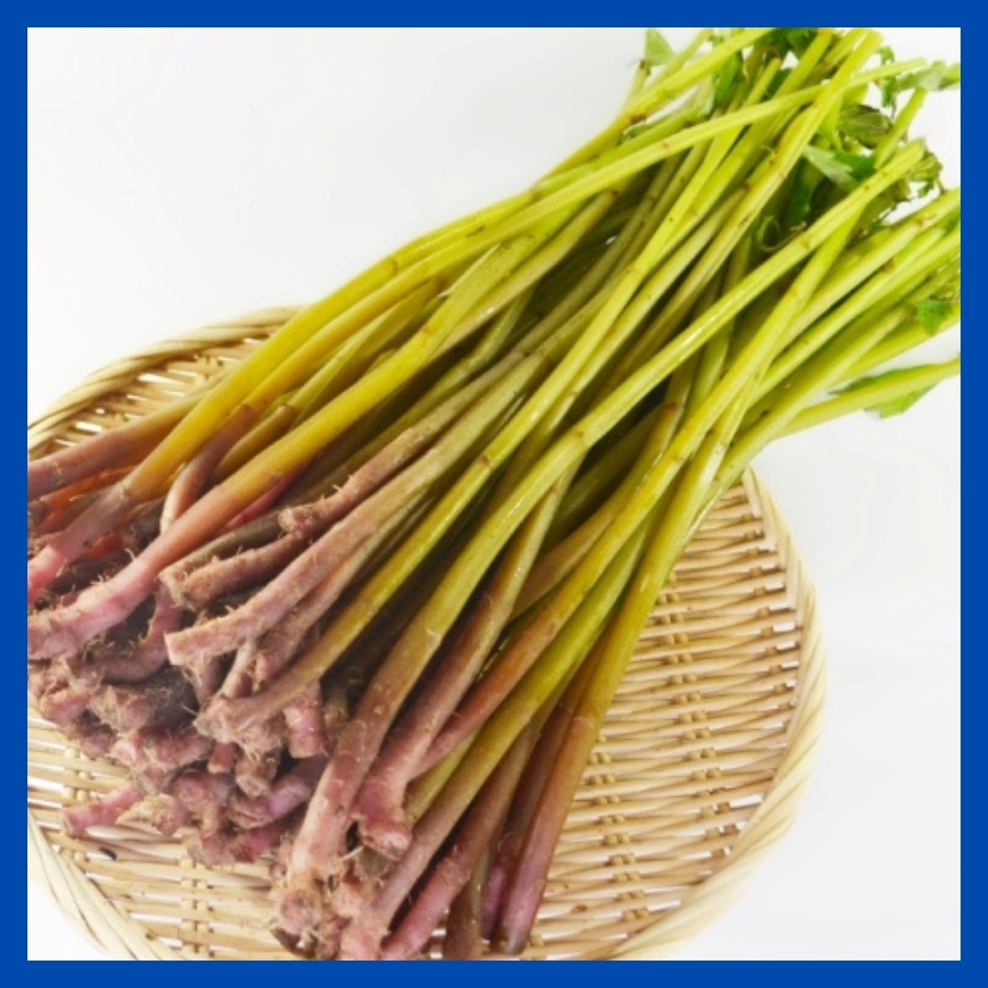 [S-13]天然 赤みず5束