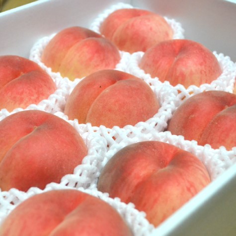 白桃3kg 品種おまかせ