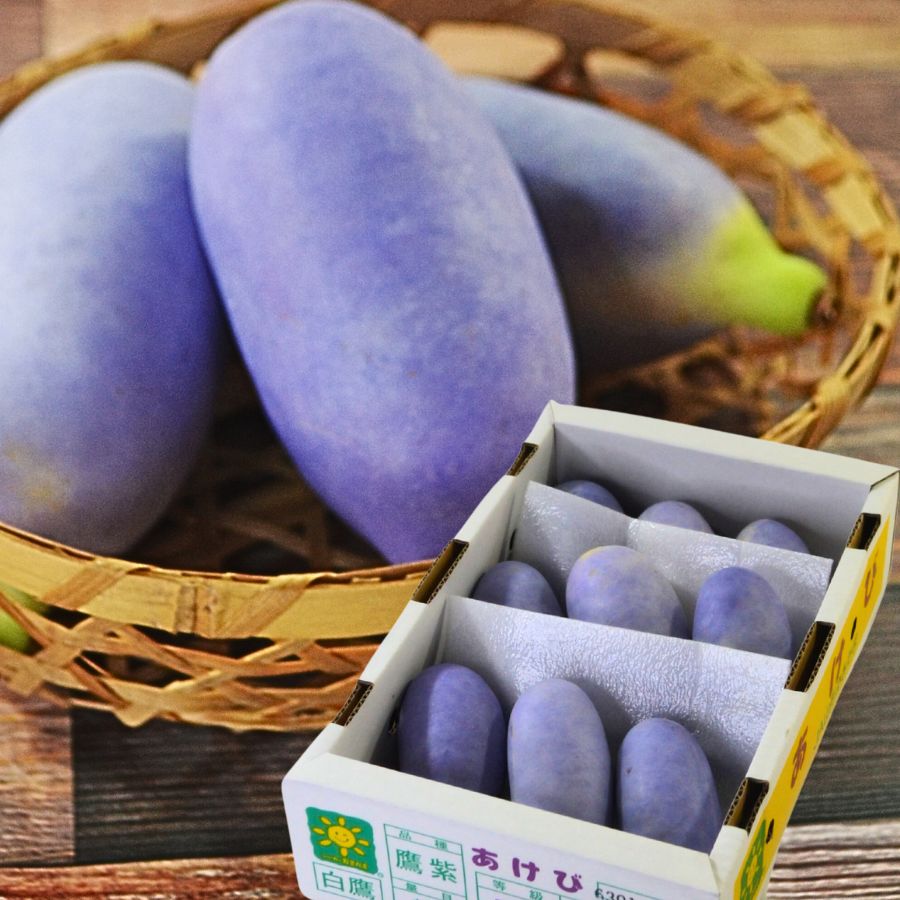 予約-あけび1kg やまがた朝日屋