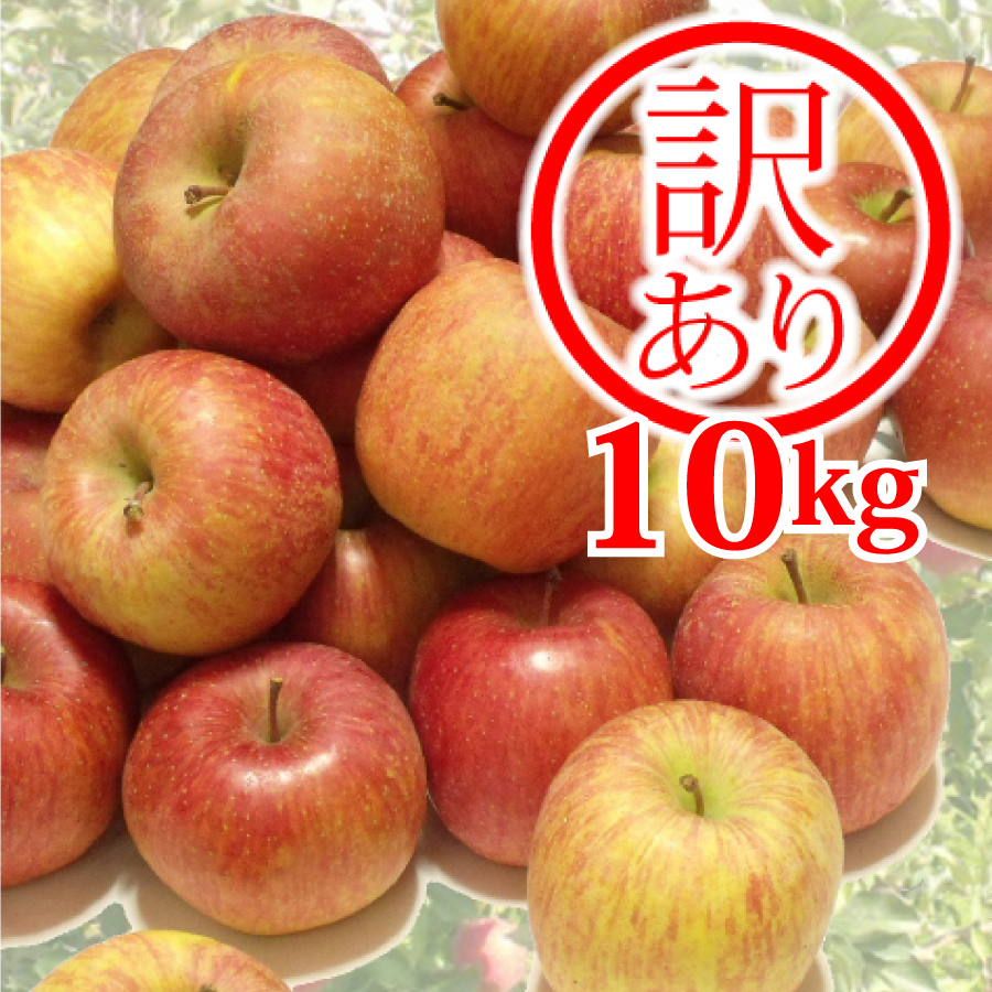 【R-31】＜訳あり＞山形産ふじりんご10kgバラ詰