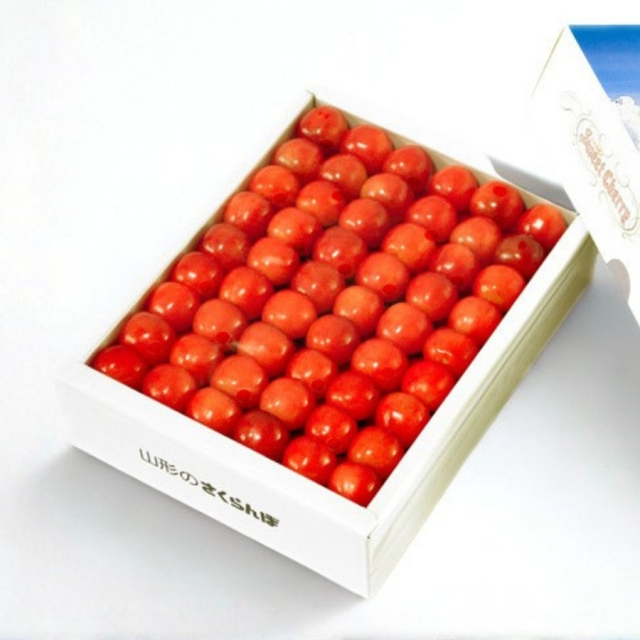 温室さくらんぼ佐藤錦500g 特秀