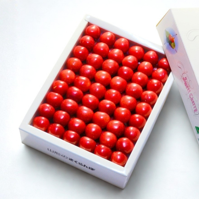 温室さくらんぼ紅秀峰300g 特秀