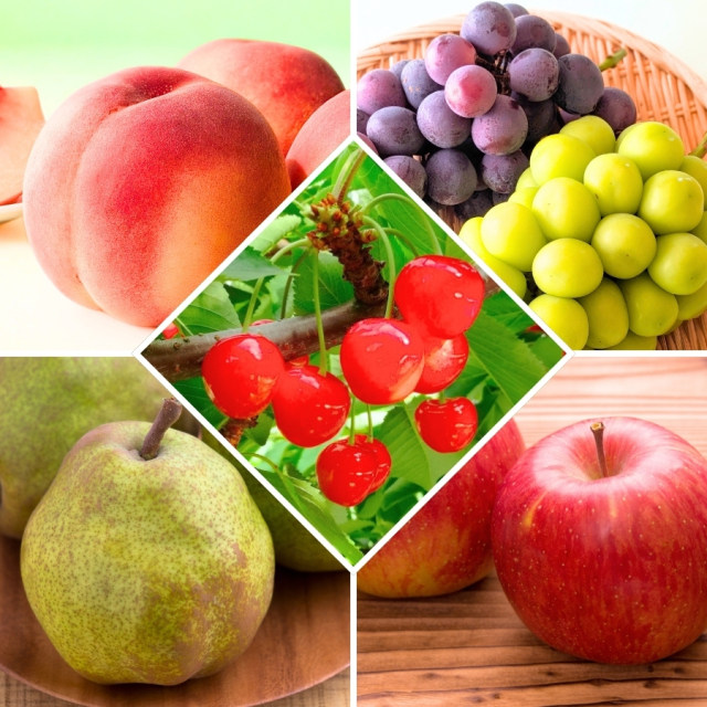 くだもの頒布会5回お届けコース/さくらんぼ/もも/ぶどう/ラフランス/ふじりんご