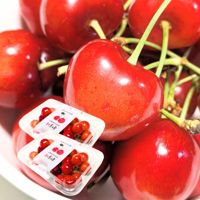 予約[P-11] 山形県産 紅秀峰 フードパック 2入